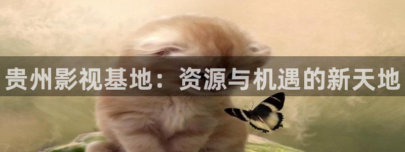 神马不卡网伦理片