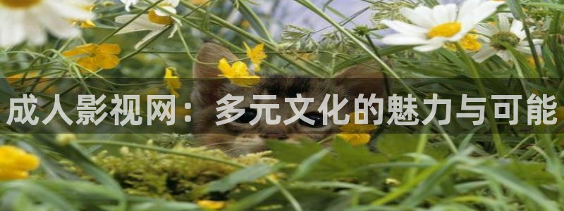 未来我不卡影院