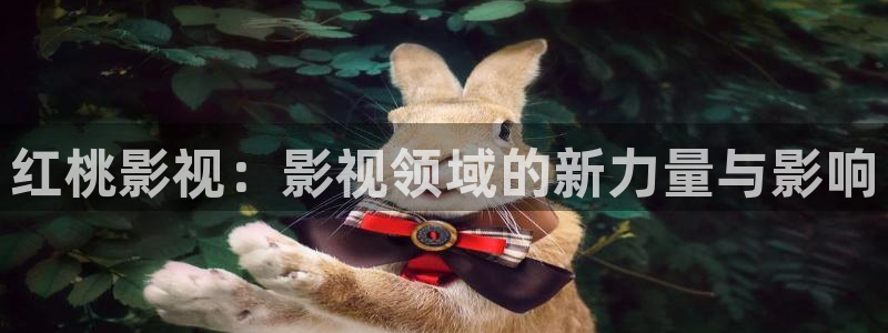 高清一区二区不卡视频：红桃影视：影视领域的新力量与影响