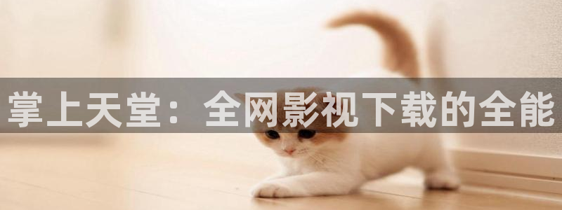 国内视频一区不卡：掌上天堂：全网影视下载的全能