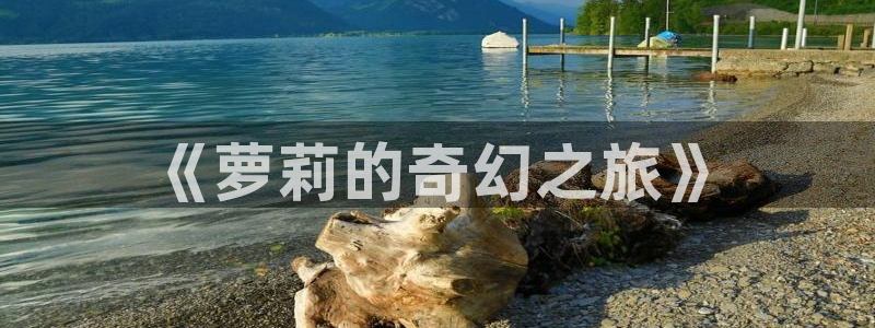 不卡影院一区：《萝莉的奇幻之旅》