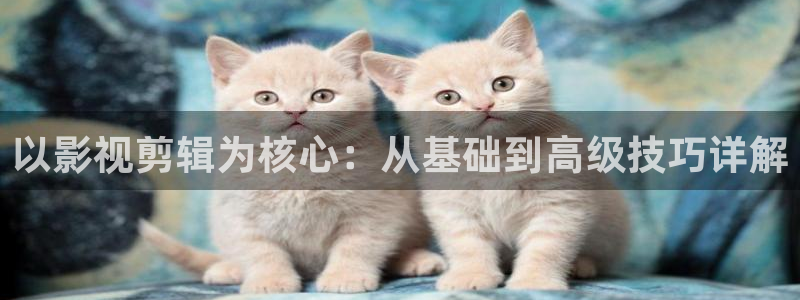 伦理片不卡在线观看
